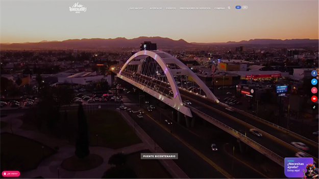 Viva Aguascalientes